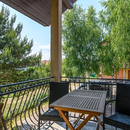 Rubin-chlapowo * Władysławowo